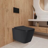 Унитаз подвесной Lauter Magdeburg 21103EC + AM.PM PrimeFit I012709.0151 (черный матовый хром глянцевый, с кнопкой смыва) - Превью изображения №17 — Интернет-магазин Time-Shop