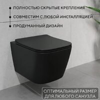 Унитаз подвесной Lauter Magdeburg 21103EC + AM.PM PrimeFit I012709.0151 (черный матовый хром глянцевый, с кнопкой смыва) - Превью изображения №5 — Интернет-магазин Time-Shop