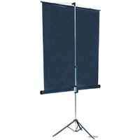 Проекционный экран Lumien Master View 127x127 (LMV-100101) - Превью изображения №2 — Интернет-магазин Time-Shop