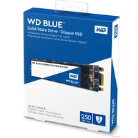 SSD WD Blue 3D NAND 250GB [WDS250G2B0B] - Превью изображения №2 — Интернет-магазин Time-Shop