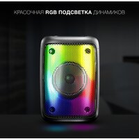 Беспроводная колонка Hyundai H-PS1006 - Превью изображения №7 — Интернет-магазин Time-Shop