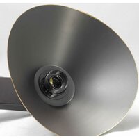 Припотолочная люстра Lussole Loft Opelika LSP-9535 - Превью изображения №2 — Интернет-магазин Time-Shop