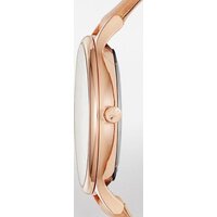 Наручные часы Skagen SKW2405 - Превью изображения №2 — Интернет-магазин Time-Shop