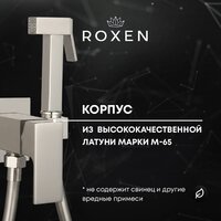 Гигиенический душ Roxen Caspia 50096000-BN - Превью изображения №5 — Интернет-магазин Time-Shop