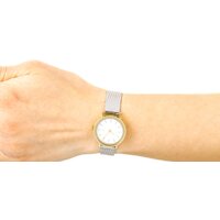 Наручные часы Skagen SKW2445 - Превью изображения №6 — Интернет-магазин Time-Shop