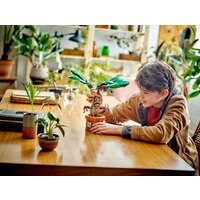 Конструктор LEGO Harry Potter 76433 Мандрагора - Превью изображения №7 — Интернет-магазин Time-Shop