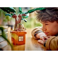 Конструктор LEGO Harry Potter 76433 Мандрагора - Превью изображения №8 — Интернет-магазин Time-Shop