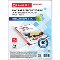 Набор файлов BRAUBERG STANDARD 229661 (100 шт) - Превью изображения №4 — Интернет-магазин Time-Shop