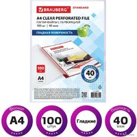 Набор файлов BRAUBERG STANDARD 229661 (100 шт) - Превью изображения №2 — Интернет-магазин Time-Shop