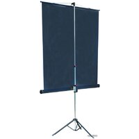 Проекционный экран Lumien Master View 153x153 (LMV-100102) - Превью изображения №2 — Интернет-магазин Time-Shop