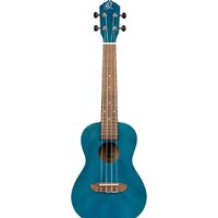 Ortega Earth RUOCEAN