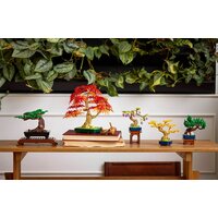 Конструктор LEGO The Botanical Collection 10373 Мини-деревья бонсай - Превью изображения №11 — Интернет-магазин Time-Shop