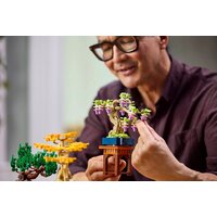 Конструктор LEGO The Botanical Collection 10373 Мини-деревья бонсай - Превью изображения №12 — Интернет-магазин Time-Shop