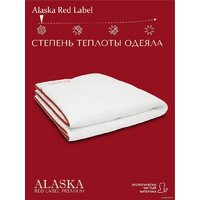 Одеяло Espera Home Alaska Red Label ЕС-5546 200x220 - Превью изображения №2 — Интернет-магазин Time-Shop