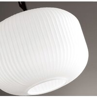 Подвесная люстра Odeon Light Roofi 4753/1 - Превью изображения №5 — Интернет-магазин Time-Shop