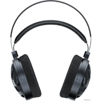 Наушники FiiO FT3 350 Ом - Превью изображения №2 — Интернет-магазин Time-Shop