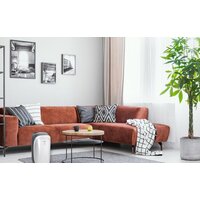 Осушитель воздуха Funai Neko S RAD-N10F3E - Превью изображения №9 — Интернет-магазин Time-Shop