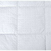 Одеяло АртПостель Лебяжий пух 172x205 2015 - Превью изображения №3 — Интернет-магазин Time-Shop