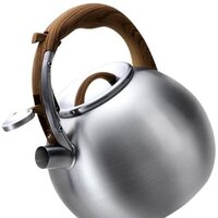 Чайник со свистком Lara LR00-82 - Превью изображения №2 — Интернет-магазин Time-Shop