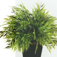 Душевой уголок Triton Дека-Блэк 90x90 (черный, без поддона) - Превью изображения №8 — Интернет-магазин Time-Shop