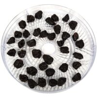 Сушилка для овощей и фруктов Oursson DH2300D/IV - Превью изображения №18 — Интернет-магазин Time-Shop