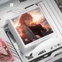 Система жидкостного охлаждения для процессора Thermalright Peerless Vision 360 ARGB (белый) - Превью изображения №8 — Интернет-магазин Time-Shop