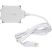 USB-хаб Buro BU-HUB4-0.5-U2.0-Candy - Превью изображения №3 — Интернет-магазин Time-Shop