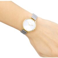 Наручные часы Skagen SKW2340 - Превью изображения №5 — Интернет-магазин Time-Shop